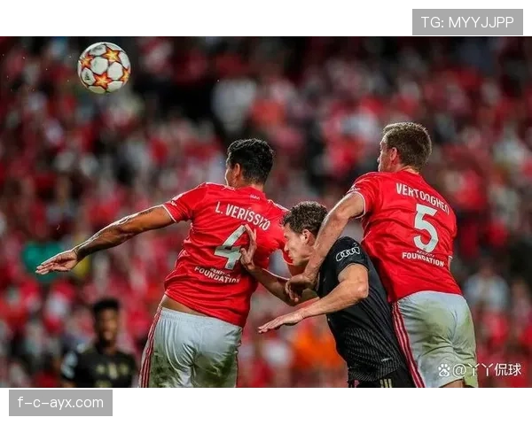 本菲卡战术执行出色，强势斩获新赛季连胜，状态全面回暖