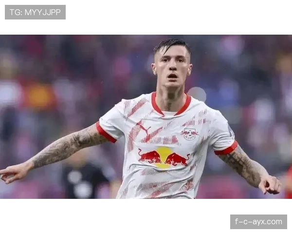 德甲夏窗激战升级：豪门争抢新星引爆转会市场