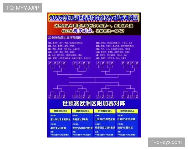 突尼斯世界杯晋级路线图